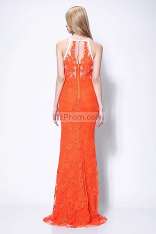 products/Chic-Orange-Long-Lace-Column-Prom-Dress-_1_455.jpg