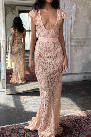 files/Sexy-Pearl-Pink-See-through-Lace-Mermaid-Evening-Dress-_1.jpg