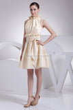 Champagne Fit And Flare Short Dress WIth Bow2