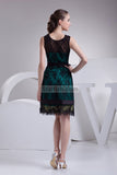 Chic Black Lace A-line Sleeveless Short Prom Dress1